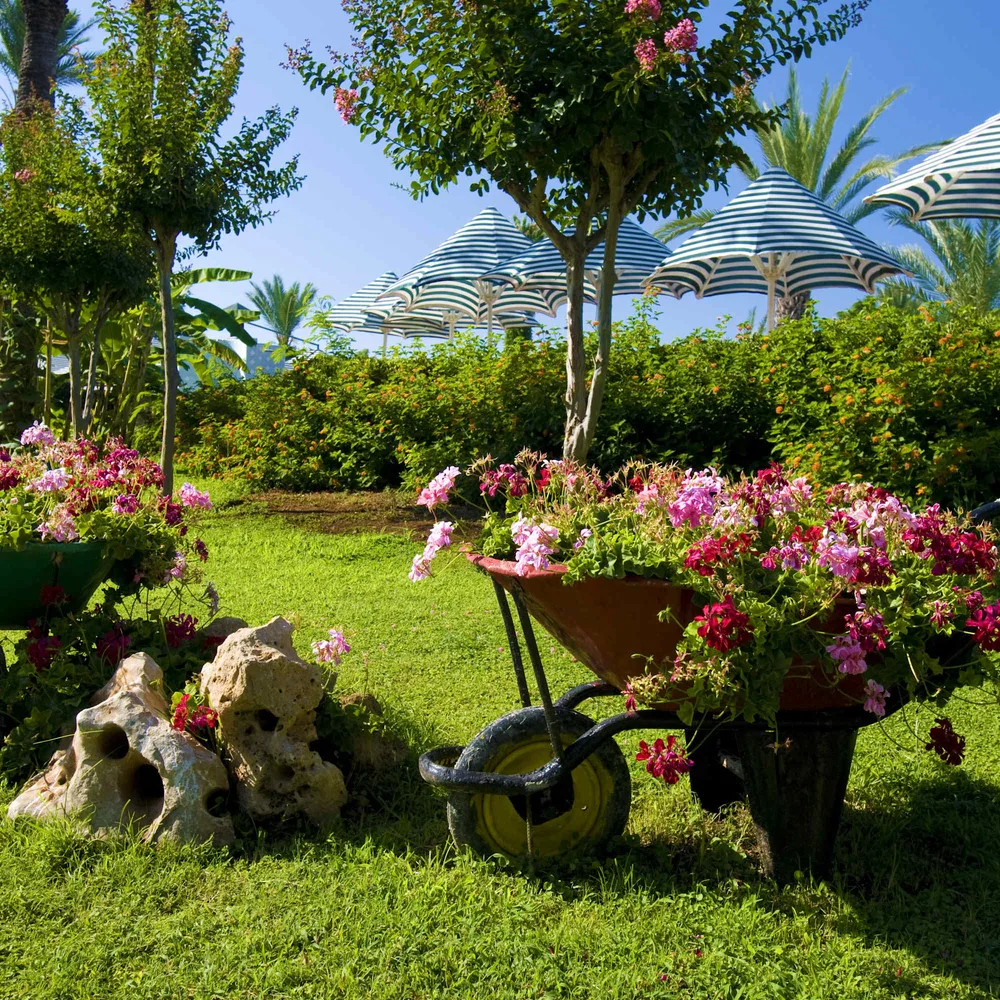 Angi ChatGPT ad — Landscape Design Pros