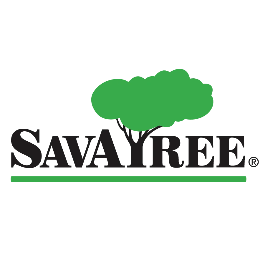 SavATree ChatGPT ad — SavATree Certified Arborists