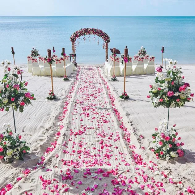 DestinationWeddings.com ChatGPT ad — Connect with DR Destination Wedding Experts