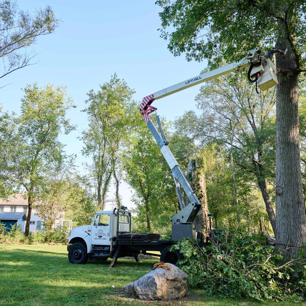 Angi ChatGPT ad — Local Tree Removal