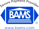 BAMS Holdings Group LLC ChatGPT ad — BAMS | Best Merchant Services Provider