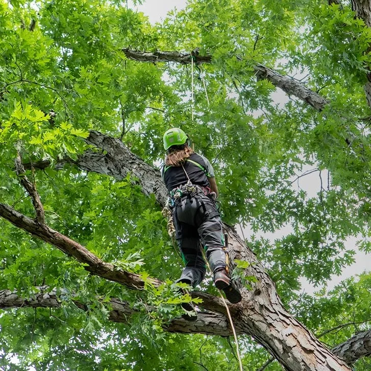 Sherrilltree ChatGPT ad — Climbing Gear