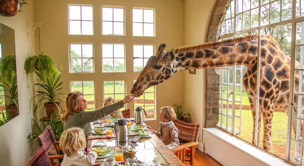 Micato Safaris ChatGPT ad — Luxury Family Safaris