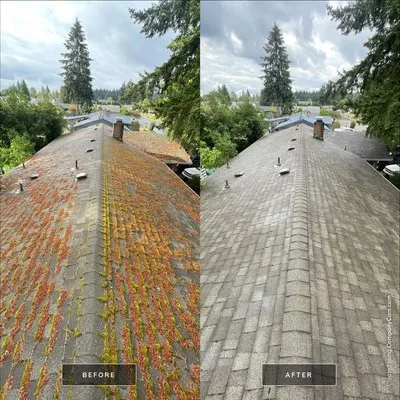 All Seasons Cleaning Services ChatGPT ad — Roof Cleaning & Moss Removal Vancouver & Portland